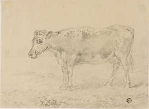 Cow by Sawrey Gilpin