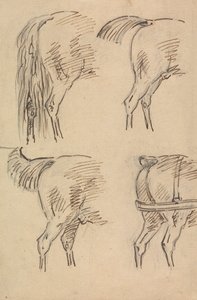 Four Sketches of Hind Quarters of Horse by Sawrey Gilpin