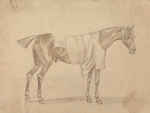 Horse Dressed in Blanket by Sawrey Gilpin