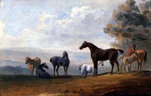 Horses