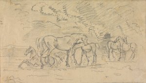 Horses in a Meadow