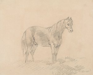 Male Horse by Sawrey Gilpin