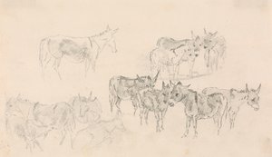 Studies of Donkeys by Sawrey Gilpin