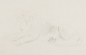 Study of a Lion by Sawrey Gilpin