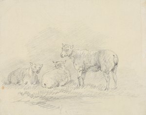 Three Sheep by Sawrey Gilpin