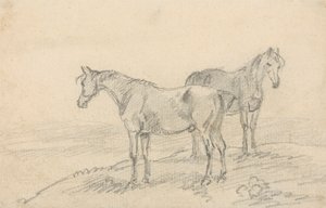 Two Horses