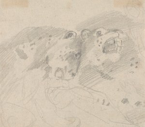 Two Leopards by Sawrey Gilpin