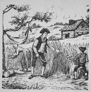 A family harvesting corn by School American
