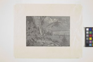 Landscape by School American