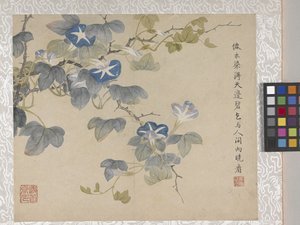 8 Leaf Album of Flowers by School Chinese