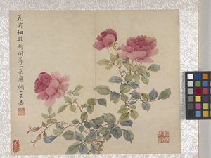 8 Leaf Album Of Flowers by School Chinese
