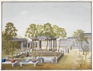 Drawing of the Garden of a Chinese Merchant