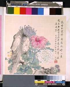 Album of Flowers and Birds by School Chinese