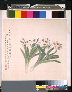 Album of Flowers and Birds by School Chinese
