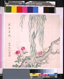 Album of Flowers and Birds, Date Unknown