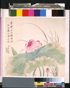Album of Flowers and Birds by School Chinese