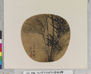 Bamboo by School Chinese