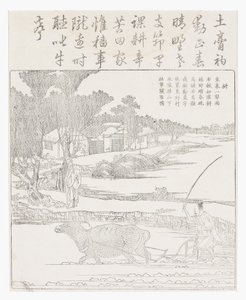 Plowing with a Water Buffalo in Muddy Rice Paddy by School Chinese