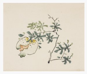 Ten Bamboo Series by School Chinese
