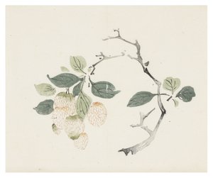 Ten Bamboo Series by School Chinese