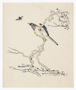 Ten Bamboo Series by School Chinese