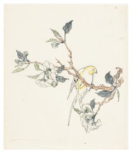 Ten Bamboo Series