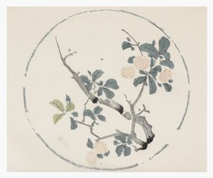 Ten Bamboo Series by School Chinese