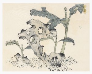 Ten Bamboo Series by School Chinese