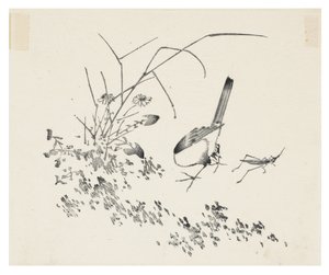 Ten Bamboo Series by School Chinese