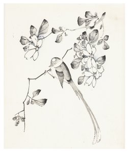 Ten Bamboo Series