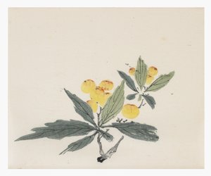Ten Bamboo Series by School Chinese