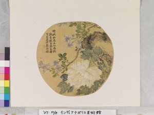 White Peony After Yun Shouping by School Chinese