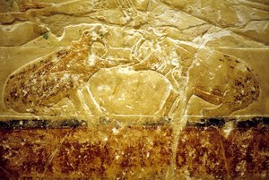 Ancient Egypt, Wall Carving/Painting, Mastaba/Tomb of Idout, Saqqara, 6th Dynasty, Two Hippos Fighting by School Egyptian
