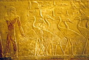 Wall Carving, Mastaba of Ti, Saqqara, 5th Dynasty, A Farmer Leading Tame Cranes by School Egyptian
