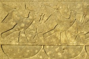 Ancient Egypt, Wall Painting/Carving, Lapwings, Representing the Various Tribes of Egypt, Karnak Temple, Luxor by School Egyptian