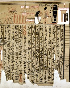 Egyptian Hieroglyphs by School Egyptian