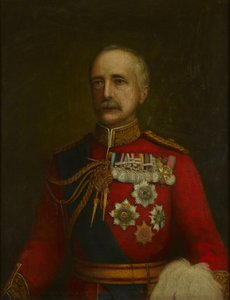 Field Marshal Garnet Joseph Wolseley by School English
