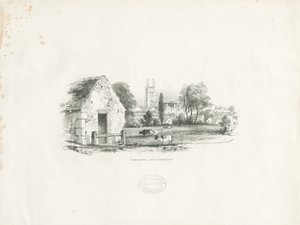 Tamworth by School English