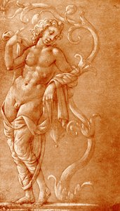 Young man leaning on a vine by School Florentine