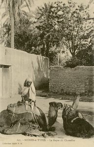 Le Repos du Chamelier, c.1890-1914 by School French