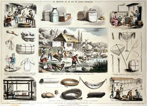 Hemp and flax and their products by School French