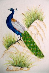 Peacock