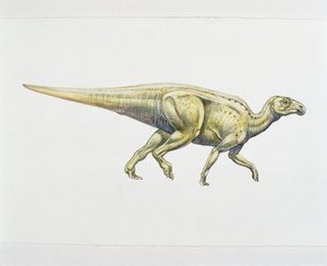 Hadrosaurid or duck-billed dinosaur by School Italian