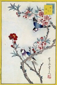 Birds in a flowering tree - Japanese print