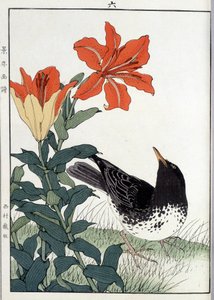 Blackbird and lily flowers - Japanese print by Japanese School