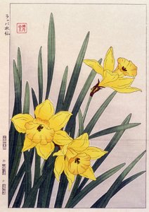 Close Daffodils - Japanese print by Japanese School