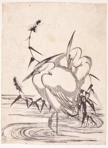 Two Herons by School Japanese