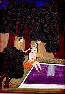 A lady at a pool, Johnson Album IX