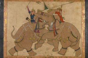 Elephant Combat