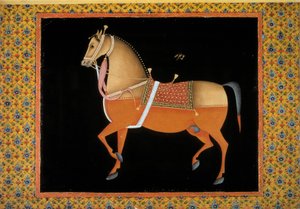 Moghol art: representation of a stallion